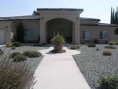 Drought Tolerant Entry