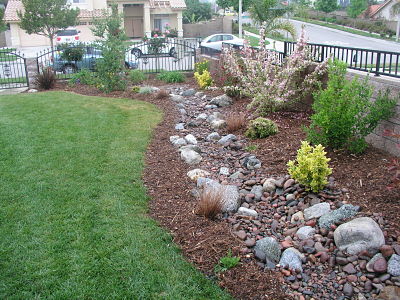 Dry Creek and lawn