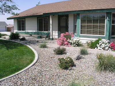 Dry Planters and Lawn