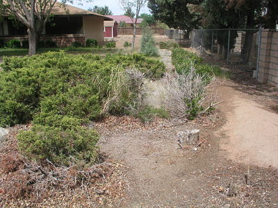 Dry Creek before