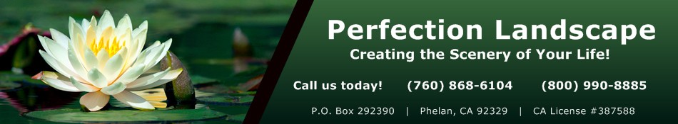 Creating the Scenery of Your Life!