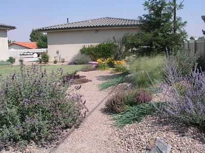Dry Garden Path