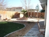 Low water use back yard after