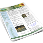 Perfection Landscape NewsLetter